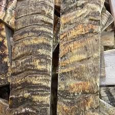 Échelles de corne de bélier de mouton noir de haute qualité au prix de gros échelle de corne de bélier artisanale à bas prix de HF CRAFTS - Product Image 3