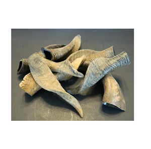 แตรแพะแท้สำหรับตกแต่งสวนบ้าน - Product Image 3