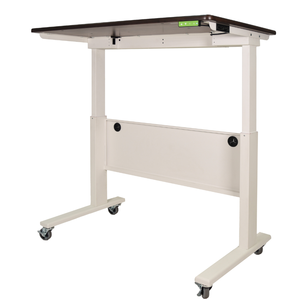 Mesa de Trabajo de Altura Ajustable de 117 cm con Doble Motor, Muebles de Oficina para Almacenamiento en Garaje, Mesa de Pie y Sentado de Alta Calidad - Product Image 1