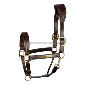 Licol de luxe en cuir pour cheval avec poignée anatomique, double réglage de la tête et accessoires en laiton finition or - Product Image 4
