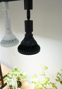 Meilleures ventes 10-E26 Porte-ampoule étanche Détecteur de mouvement Prise de lumière Fer Céramique Plastique avec vis - Product Image 6