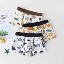 Sous-vêtements pour jeunes adolescentes, modèles chinois, enfants, DHL, Jin, culottes imprimées, coton, FedEx, OEM, personnalisé, élasthanne - Product Image 4