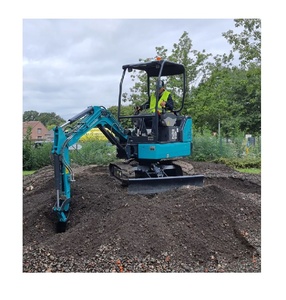 Excavatrice Sunward SWE 20F/FED à vendre avec moteur Yanmar de 18 ch et profondeur de fouille de 7 pieds 9 pouces pour petits travaux - Product Image 5