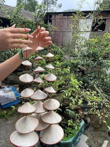 Mini Vietnamese Conical Hat Non La Handmade Decorative <b>Souvenir</b> from Vietnam - Product Image 4