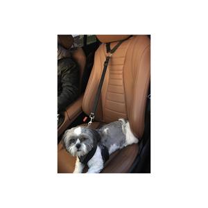 Cintura di sicurezza per veicoli per animali domestici collare Auto per cani e gatti accessorio Auto
