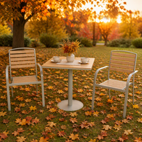 Ensemble de table et deux chaises de patio extérieur, ensemble bistrot pour jardin, café, balcon et usage commercial
