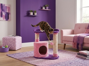 Arbre à chat Amistar Kitty Aurora de haute qualité avec 3 niveaux pour chats - Product Image 4