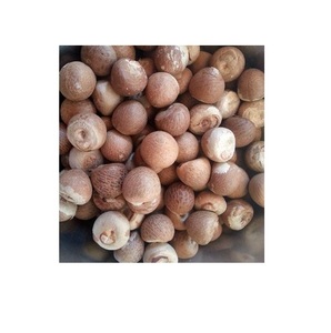 Nuez de Betel Seca de Areca Catechu Orgánica de Primera Calidad, Orientada a la Exportación, Color Marrón, Origen Nuez de Betel - Product Image 3