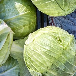 REPOLLO CONGELADO TODO NATURAL/POTENCIA A BASE DE PLANTAS/NUTRICIÓN LIMPIA/REFUERZO DE INMUNIDAD - Product Image 4