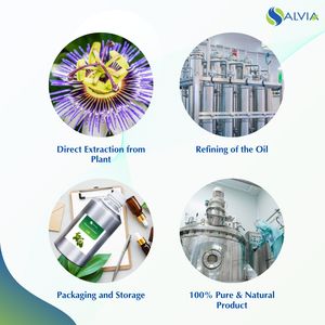 Aceite Esencial de Salvia 100% Puro y Natural al por Mayor, OEM/ODM, Empaque Personalizado, Cuidado de la Piel y Salud, Precio Bajo - Product Image 4