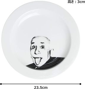 Plato de Cerámica con Motivo de Albert Einstein, Regalo Único para Fiestas, Serie de Platos con Figuras Históricas Japonesas, Característica Ecológica - Product Image 5