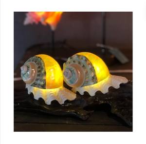 NORMADIC STYLE SEA SHELL SLEEPING LIGHT VIETNAM HECHO A MANO SEA SHELL SLEEPING LIGHT PARA EL MEJOR DORMIR DISEÑO CREATIVO EXQUISITO - Product Image 1