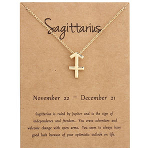 <span class=keywords><strong>2023</strong></span> gros plaque d'or collier de mujer astrologie horoscope bijoux en acier inoxydable minimaliste 12 zodiaque collier - Product Image 6