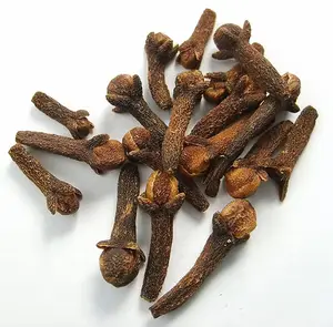 Top Quality Wholesale clove Spice Dried Clove in Bulk from India Factory Direct Sale for Pain organic clove for skin care