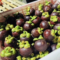 Biologische verse mangosteen uit Thailand - Queen Fruits, volle smaak, zoet, gezonde voordelen, kwaliteit Khey Taladthai, 1-2 weken houdbaarheid