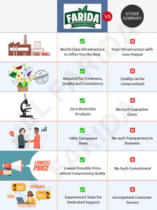 Énorme vente d'excellente qualité de feuilles de vigne congelées en vrac de qualité supérieure à un prix de marché raisonnable auprès d'un fournisseur d'origine égyptienne - Product Image 6