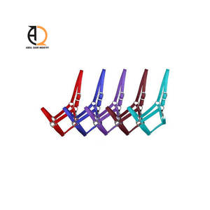 Licol de cheval en nylon réglable, bride en cuir, équipement pour cheval - Product Image 5