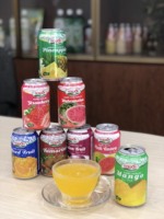Groothandel Tropisch Fruit Sap Fabrieksprijs 330ml Sap Geblikte NFC Gezonde Frisdranken OEM ODM Beschikbaar Gemengd