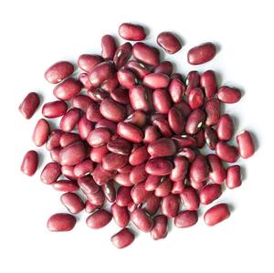 Venta al por Mayor de Fábrica de Frijoles Adzuki, Frijoles Rojos para la Venta/Exportación - Product Image 2