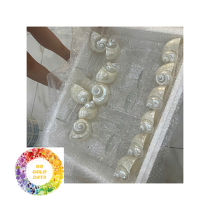 Vasos de caracola con acentos de caracola para una declaración audaz en cenas de 99 Gold Data VN - Product Image 3