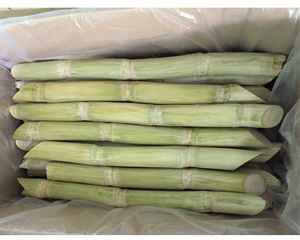 Caña de azúcar congelada en forma de palo para hacer jugo de caña de azúcar congelada de Vietnam empacada para la industria de bebidas - Product Image 1