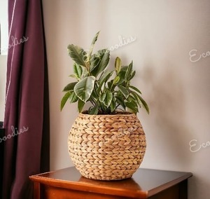 Maceta de tejido de flores de nuevo estilo, macetas de interior ecológicas hechas a mano, macetas de paja de algas marinas - Product Image 2