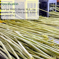 Jus de canne à sucre congelé IQF exportation en vrac 100% jus sucré naturel du fournisseur du Vietnam