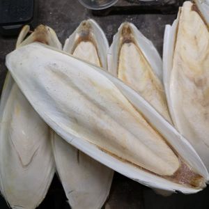 Les meilleures ventes d'os de seiche et d'os de seiche séchés pour la fabrication de chitosan au Vietnam - Product Image 2