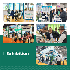 Poudre d'herbes Triphala (Terminalia Chebula, Terminalia Belerica, Emblica Officinalis) - Qualité alimentaire - Product Image 5