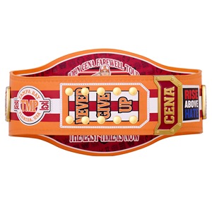 WWE Championship Ceinture Jouet Personnalisable De Luxe Médaille En Métal Matériel Réglable Lutte Boxe Ceinture Or En Gros Ronpex - Product Image 3