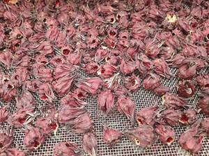 กลีบเลี้ยงจากชบาแดงมีส่วนผสมของชาสมุนไพรธรรมชาติ - Product Image 3