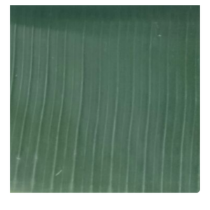 Vietnamese <b>Banana</b> Leaves Supplier Wholesale Flexible and <b>Fresh</b> Leaves for Restaurants and Retail - Product Image 1