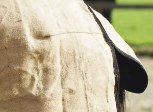 Manta de caballo suave y transpirable personalizada, gran oferta, alfombras de caballo equino, alfombras de caballo de verano al por mayor - Product Image 5