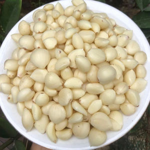 AJO CONGELADO DE GRADO SUPERIOR DE VIETNAM-SUMINISTRO AL POR MAYOR CON SABOR NATURAL Y BENEFICIOS PARA LA SALUD - Product Image 4