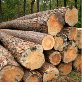 Troncos de pino - Product Image 1