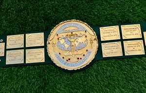 Cinturones de campeonato de lucha libre Trofeos Medallas y premios el símbolo definitivo de Victoria y excelencia Cinturones de Campeonato - Product Image 5