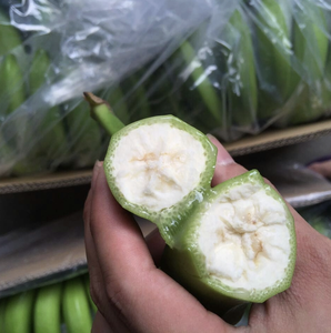 Banane Cavendish fraîche du Vietnam, issue de fruits de qualité, pour la transformation alimentaire, les cuisines commerciales et les acheteurs mondiaux - Product Image 5