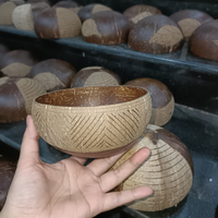 Set Mangkuk dan Sendok dari Kulit Kelapa Alami Buatan Tangan Grosir - Ramah Lingkungan untuk Penggunaan Rumah Tangga, Biodegradable, Buatan Vietnam, Merek Eco2go