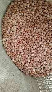 Cacahuetes frescos de calidad superior 100% Humedad natural sin OGM 7% Aflatoxina máxima <20 Ppb Vida útil 1-2 años Cacahuete - Product Image 3