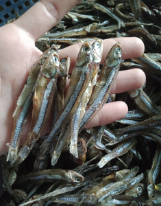 Anchois séchés expédiés pour les commandes d'épicerie au détail Kits d'ingrédients de restaurant et acheteurs de distribution alimentaire B2B - Product Image 3