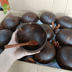 Ensemble de bols et de couverts en coque de noix de coco écologiques avec panier de rangement tissé Nouveau modèle - Product Image 3