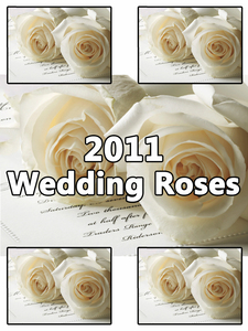 5 sheets per <b>pack</b>, 100 sheets per <b>pack</b>; ideal for Valentine's Day, wedding invitations, <b>birthday</b> <b>cards</b>, holiday <b>cards</b>, and scrap - Product Image 6