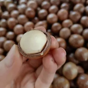 SUPPLIER MACADAMIA WITH HIGH QUALITY AND GOOD PRICE