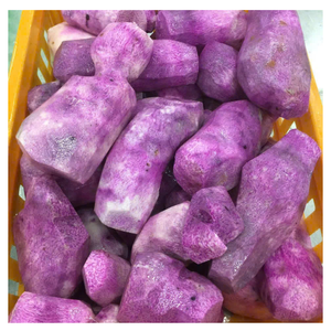 Cubes IQF d'igname blanche et violette congelées du Vietnam légume racine naturel de qualité supérieure pour l'approvisionnement en gros d'exportation - Product Image 6