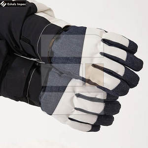 Gants d'hiver à la mode de style nouveau pour hommes, mitaines en cuir coupe-vent pour le sport de plein air, le ski, cinq doigts - Product Image 5