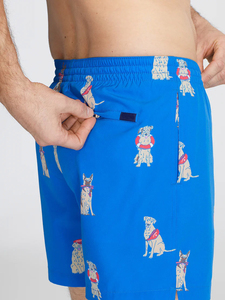 Shorts d'été décontractés pour hommes Taille haute élastique Respirant Outdoor Fitness Wear Plus Size Solid Pattern XS-XXL - Product Image 5