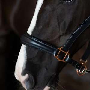 Silla de Montar Inglesa de Cuero Marrón de Alta Calidad con Herrajes de Latón y Fuelle de Madera para Caballo - Ajuste Cómodo - Product Image 3