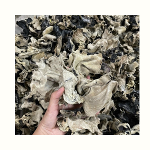 Champignons de l'oreille de Bouddha séchés pour la transformation alimentaire, la cuisson et l'utilisation comme ingrédient de cuisine asiatique - Product Image 1