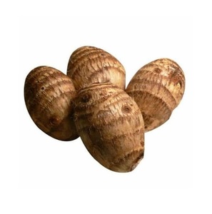 Nuevo Taro Redondo Orgánico Fresco al por Mayor a Precio Económico, Proveedor de Portugal - Product Image 5