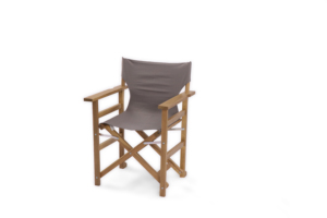 Chaise de réalisateur conçue avec un cadre pliable, un siège en tissu durable et un support pour les accoudoirs, adaptée aux événements en plein air et aux tournages de films. - Product Image 1